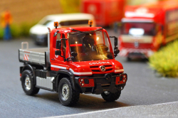 20251030-Colonia-00028