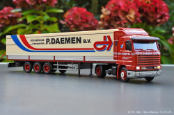 20241015-Daemen-00091