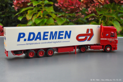 20241015-Daemen-00133