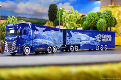 20260214-Ekdahl-00047