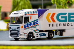 20260502-Gesuko-00003