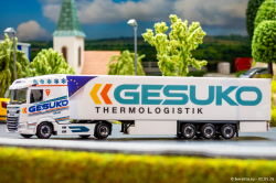 20260502-Gesuko-00005