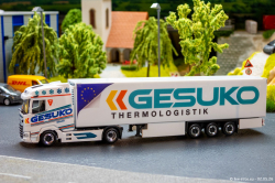 20260502-Gesuko-00012