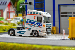 20260502-Gesuko-00087