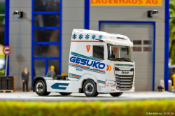 20260502-Gesuko-00090