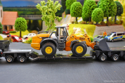 20250111-Hegmann-Transit-01146