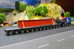 20250111-Hegmann-Transit-01277