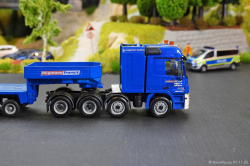 20250111-Hegmann-Transit-01467