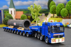 20250111-Hegmann-Transit-01471