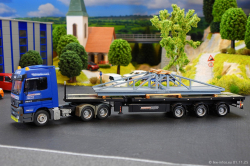 20250111-Hegmann-Transit-01489