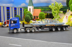 20250111-Hegmann-Transit-01496