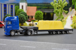 20250111-Hegmann-Transit-01585