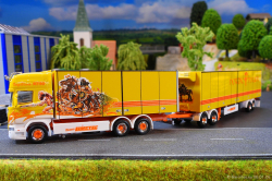 20260106-Karlsson-00118