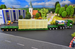 20251114-Kuebler-00384