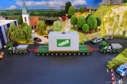 20251121-Kuebler-00442