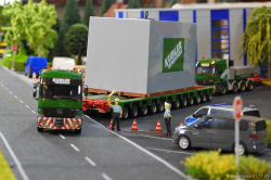 20251121-Kuebler-00477