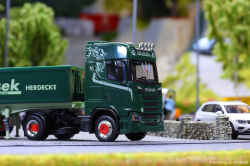 20260804-Latussek-00217