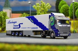 20260216-Lechner-Trans-00605