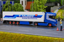 20260810-Murpf-00044
