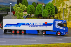 20260810-Murpf-00049