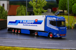 20260810-Murpf-00052