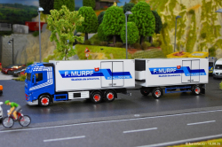 20260810-Murpf-00271