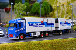 20260810-Murpf-00314