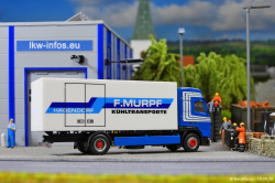 20260810-Murpf-00338