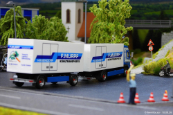 20260810-Murpf-00389
