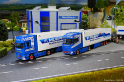 20260810-Murpf-00442