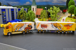 20260214-Ristimaa-Bee-Scania-00054