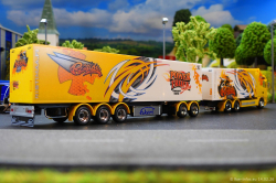 20260214-Ristimaa-Bee-Scania-00085