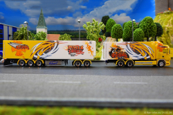 20260214-Ristimaa-Bee-Scania-00090