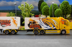 20260214-Ristimaa-Bee-Scania-00091