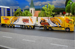 20260214-Ristimaa-Bee-Scania-00092