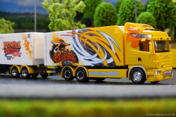 20260214-Ristimaa-Bee-Scania-00102