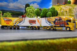 20260214-Ristimaa-Bee-Volvo-00098