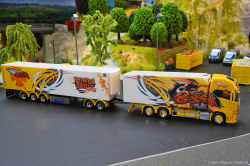 20260214-Ristimaa-Bee-Volvo-00105