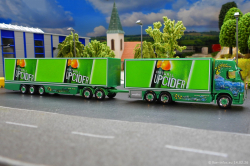 20260214-Ristimaa-Cider-Shark-00096