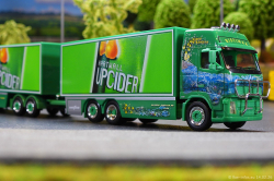 20260214-Ristimaa-Cider-Shark-00106