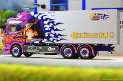 20260214-Ristimaa-Dragon-00013