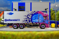 20260214-Ristimaa-Dragon-00031