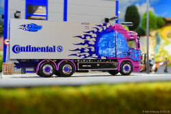 20260214-Ristimaa-Dragon-00033