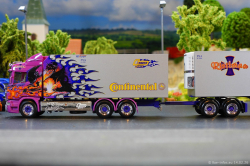 20260214-Ristimaa-Dragon-00063