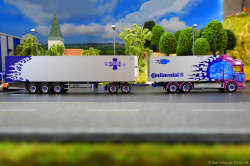 20260214-Ristimaa-Dragon-00091