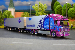 20260214-Ristimaa-Dragon-00102