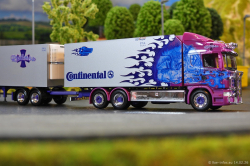 20260214-Ristimaa-Dragon-00104