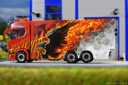 20260214-Ristimaa-Firebird-00013