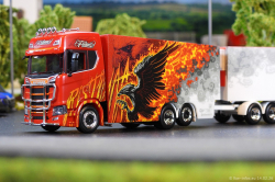 20260214-Ristimaa-Firebird-00050