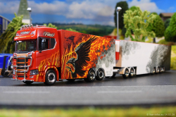 20260214-Ristimaa-Firebird-00055